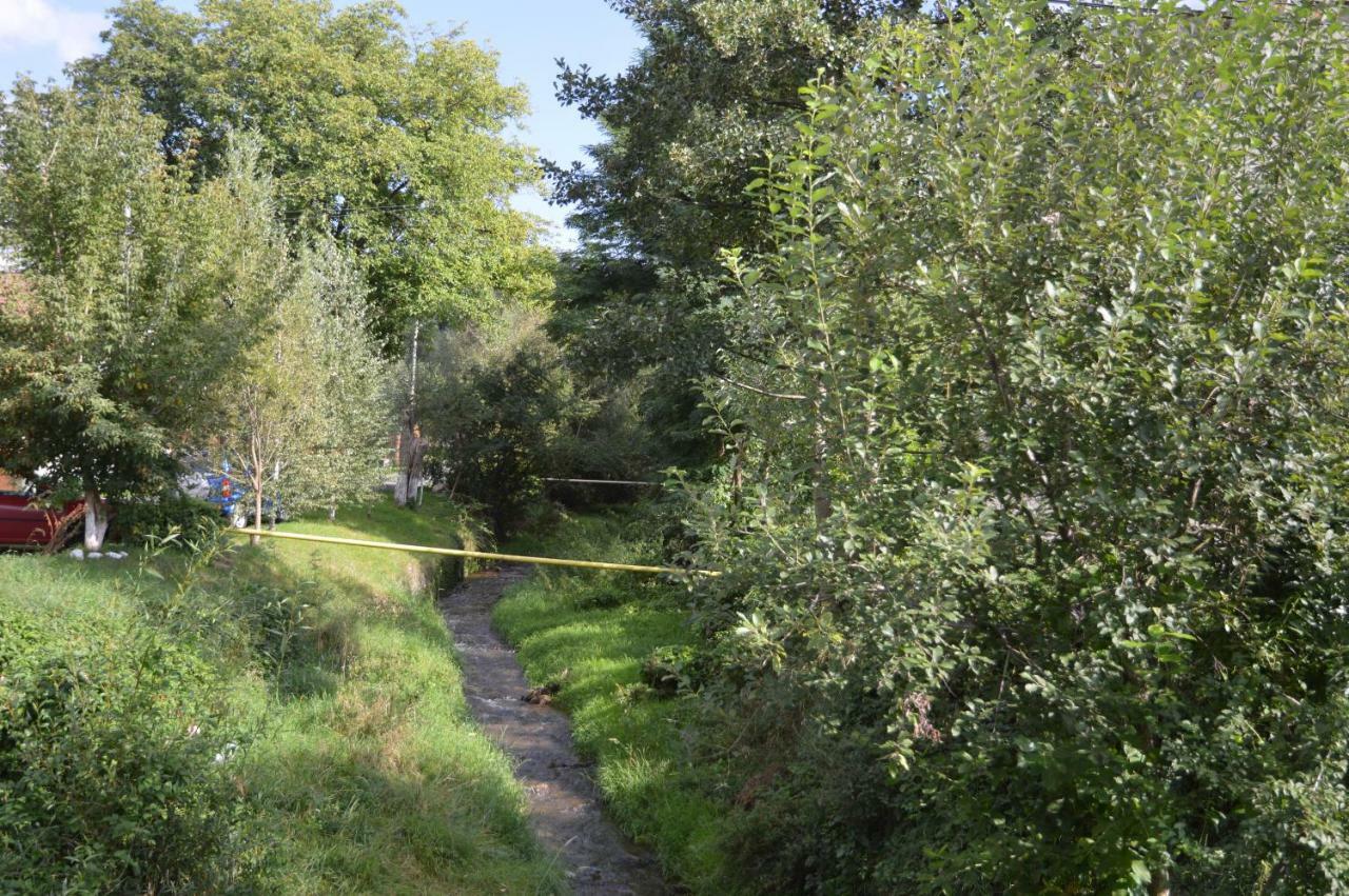 Baza Sportiva Adelina Hotel Câmpulung Eksteriør billede